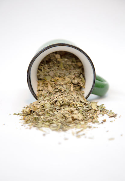 World Traveler's Tea Bundle